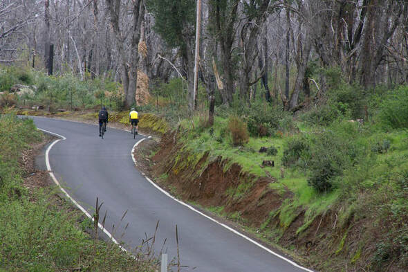 Two Bicycle riders cycle through Calaveras County in Northern California foothills at Mr. Frogs Wild Ride